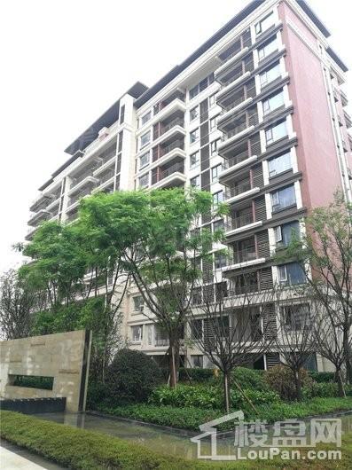 中海万锦熙岸实景图