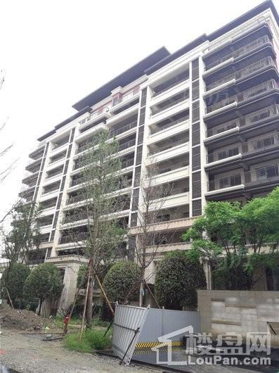中海万锦熙岸实景图