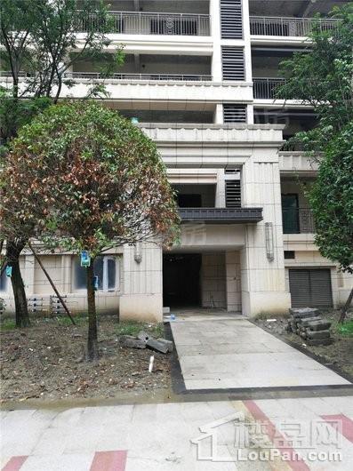 中海万锦熙岸实景图