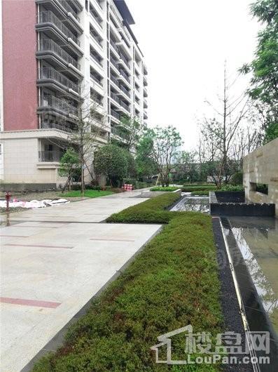中海万锦熙岸实景图