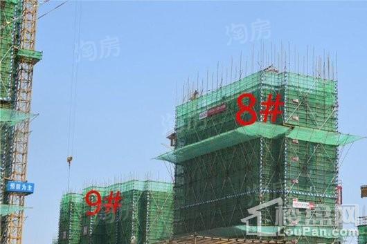 皖投万科·天下艺境实景图