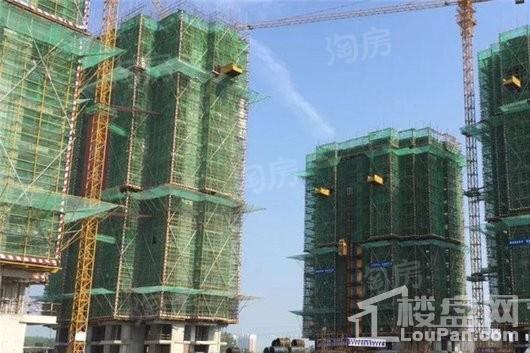 绿都地产少荃府实景图