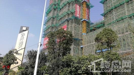 首开中庚·香开连天实景图