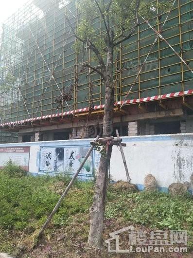 融侨·悦城实景图