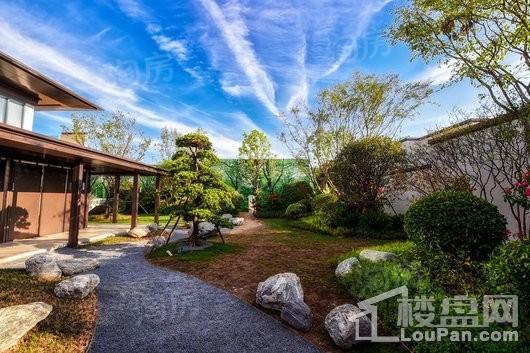 三盛·璞悦湾实景图