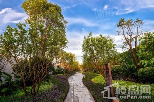 三盛·璞悦湾实景图