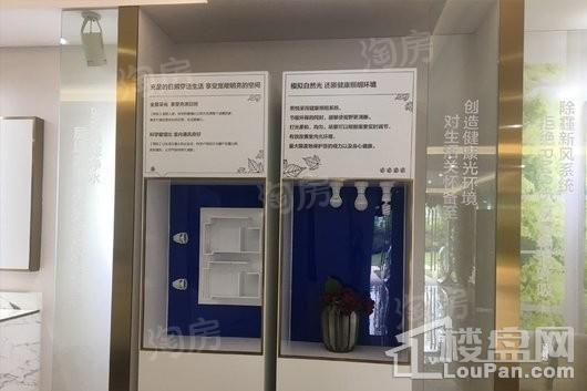 中南熙悦实景图