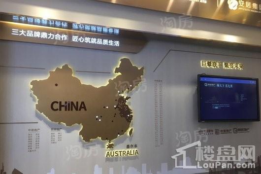 实景图