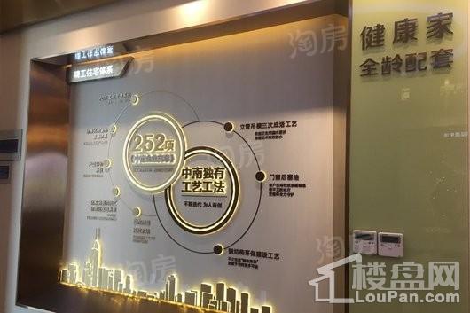 中南熙悦实景图