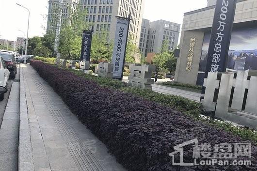 扬子科创总部基地实景图