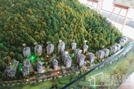 溪山温泉·尚品墅实景图