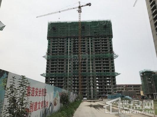 藁城东城国际实景图