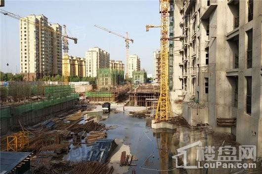 鹿泉健康城实景图