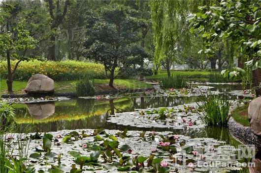 星河湾5号园实景图
