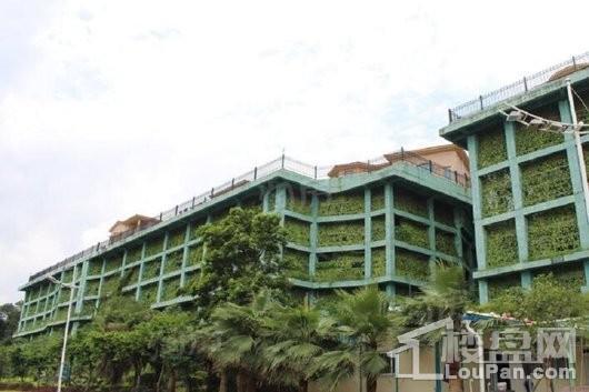 永荣浅水湾实景图