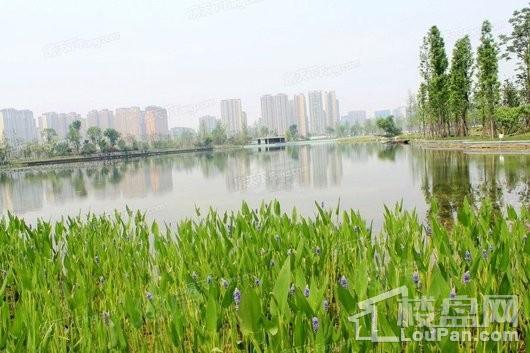博雅城市广场配套图