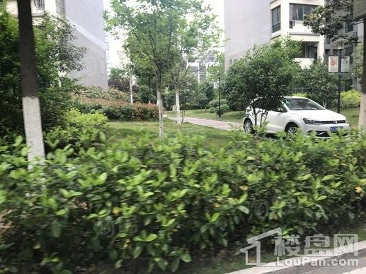 翡翠花园芳岛墅实景图
