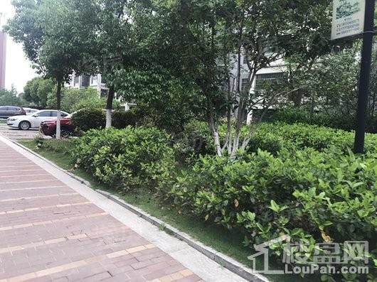 翡翠花园芳岛墅实景图