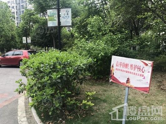 翡翠花园芳岛墅实景图
