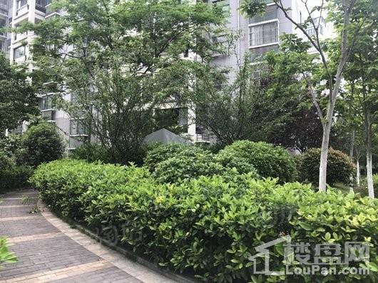 翡翠花园芳岛墅实景图