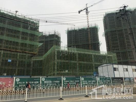 翡翠花园芳岛墅实景图