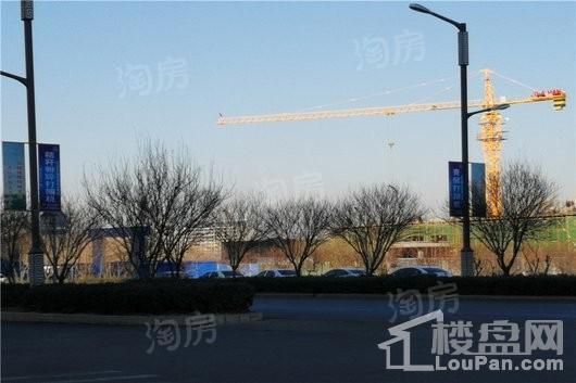 金鲁城·紫麟府配套图