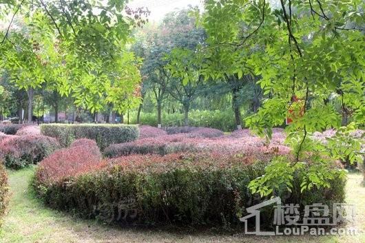 旺洋商业广场配套图