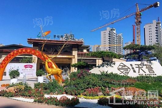 碧桂园天誉实景图