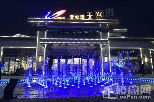 碧桂园天誉实景图