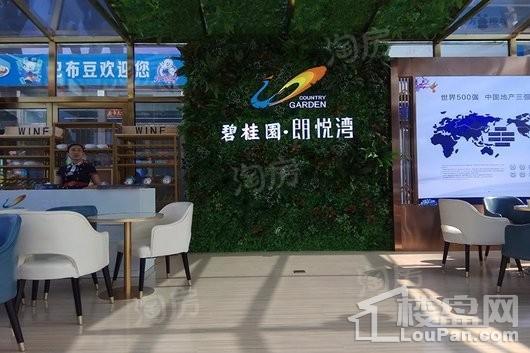 碧桂园朗悦湾实景图