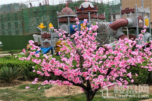 中格·云景里实景图