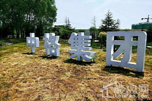 中格·云景里实景图