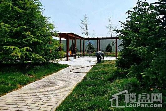 中格·云景里实景图