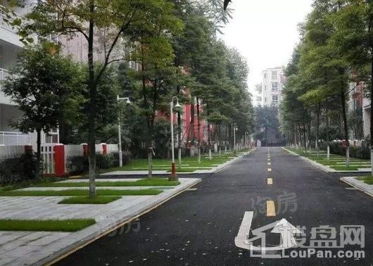 杜鹃城千万间实景图