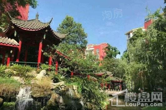 杜鹃城千万间实景图