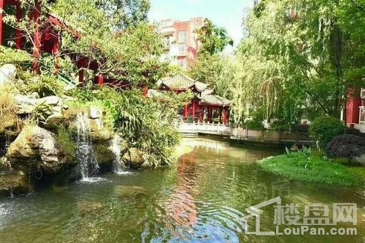 杜鹃城千万间实景图