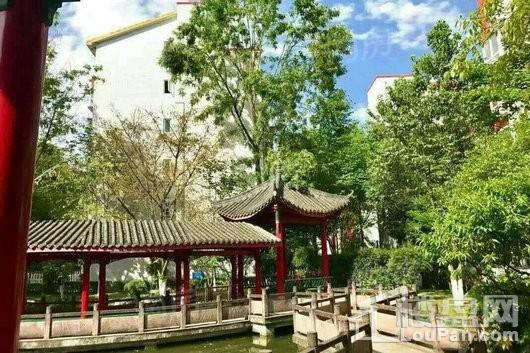 杜鹃城千万间实景图