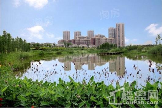 保利狮子湖银杏郡实景图