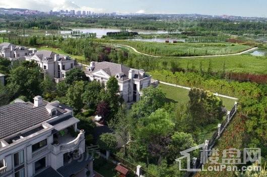 保利狮子湖银杏郡实景图