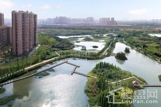 保利狮子湖银杏郡实景图
