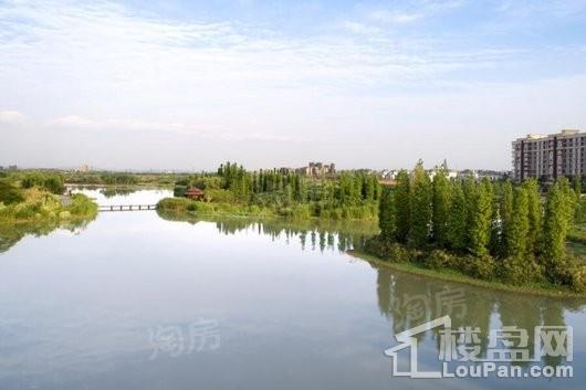 保利狮子湖银杏郡实景图