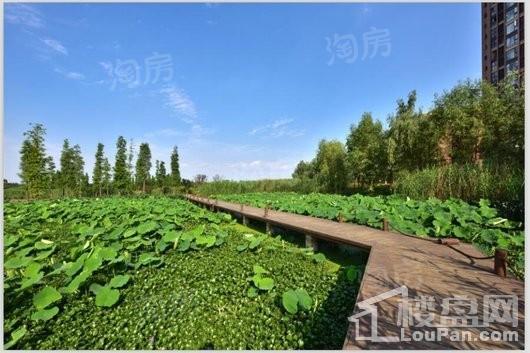 保利狮子湖银杏郡实景图