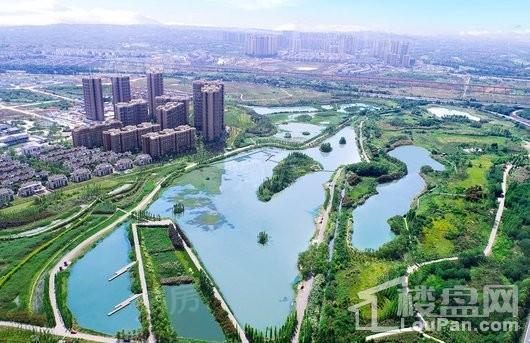 保利狮子湖银杏郡效果图