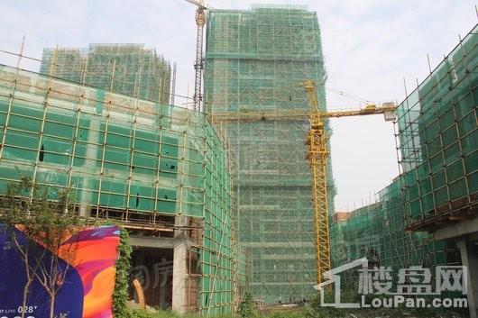 中房芳华美地实景图