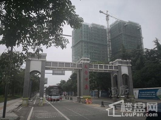 中房芳华美地配套图