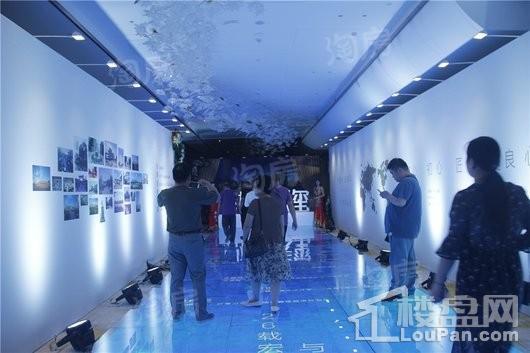 辛集碧桂园天玺实景图