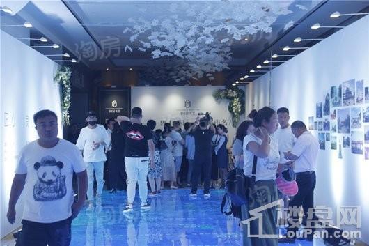 辛集碧桂园天玺实景图
