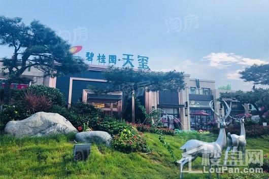 辛集碧桂园天玺效果图