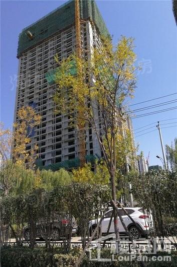 全景晋阳湖实景图