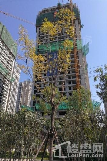 全景晋阳湖实景图